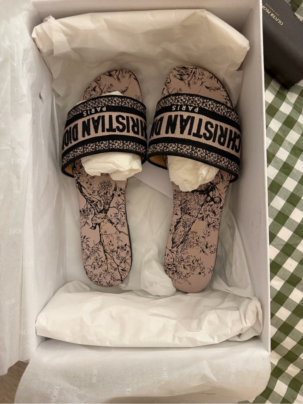 Dior Dway slides